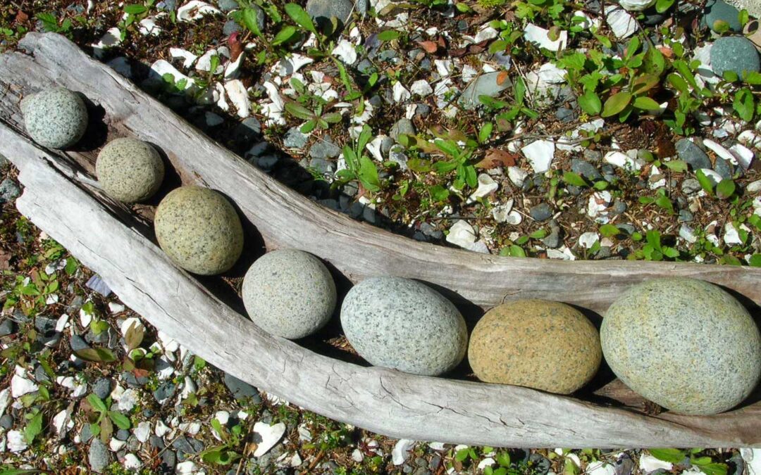 Interconnectedness: a 6-syllable word worth knowing